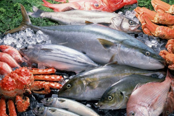 Фотография к новости: Цены на рыбу и морепродукты выросли в Казахстане