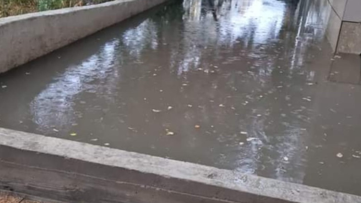  жителей ЖК 7 Континент.