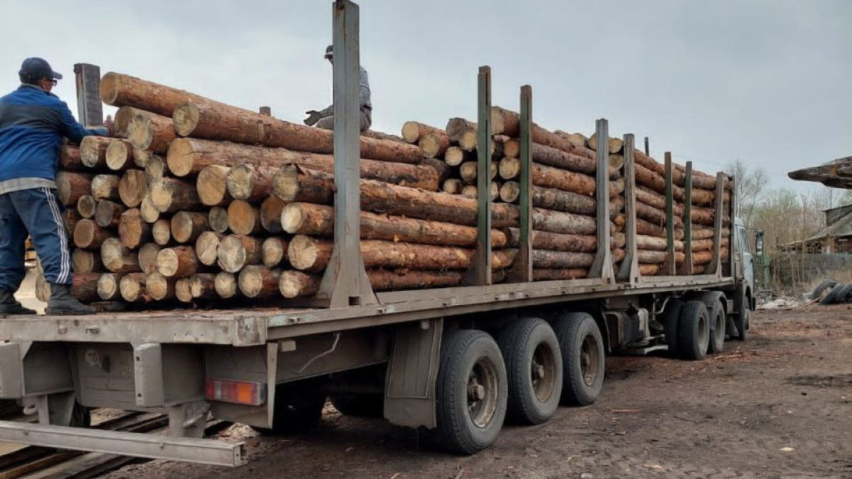  Альбина Халел