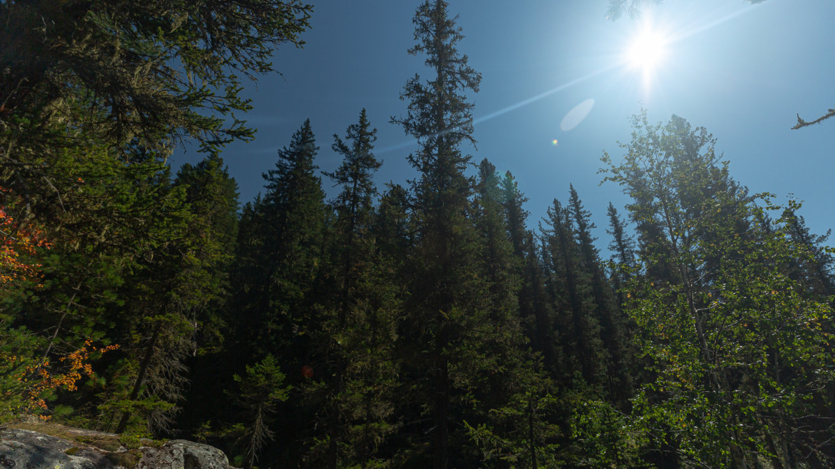  Артем Чурсинов BaigeNews