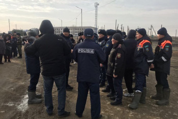 Фотография к новости: "Мама вела себя подозрительно": волонтеры рассказали о поисках семилетней Миланы