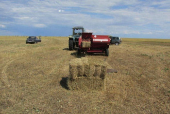 Фотография к новости: Увольнения работников природного заповедника в Акмолинской области добились прокуроры