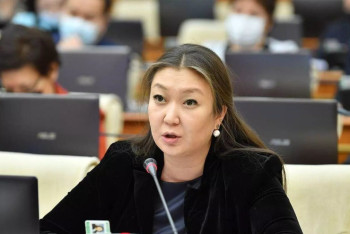 Фотография к новости: Наказывать акимов за открытые люки предлагают в Казахстане