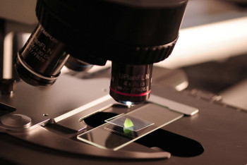 Фотография к новости: Какие совместные проекты в области науки реализуют Казахстан и Россия