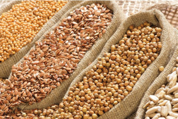 Фотография к новости: Комбикормовый завод начали строить в Акмолинской области