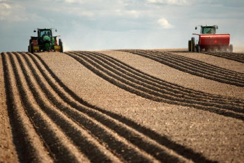 Фотография к новости: 60 тысяч вместо 50 млн тенге платил за аренду земли житель Павлодарской области