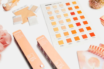 Фотография к новости: Назван главный цвет 2024 года