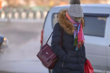 Фотография к новости: Из-за сильного мороза школьники Астаны учатся дистанционно