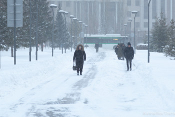 Фотография к новости: Школьники ряда городов Казахстана будут учиться дистанционно