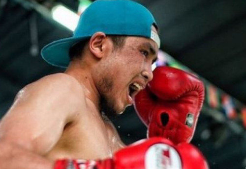 Фотография к новости: "Казахский воин" уложил боксёра из Индии зверским нокаутом