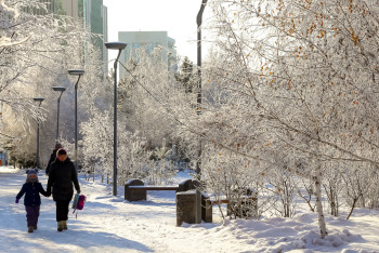 Фотография к новости: Морозы до 44 градусов прогнозируют на севере Казахстана