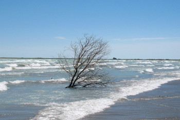 Фотография к новости: Тело 15-летней девушки нашли спасатели в озере Балхаш