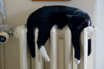 Фотография к новости: Жители нескольких домов продолжают мёрзнуть после аварии на теплосетях в Степногорске