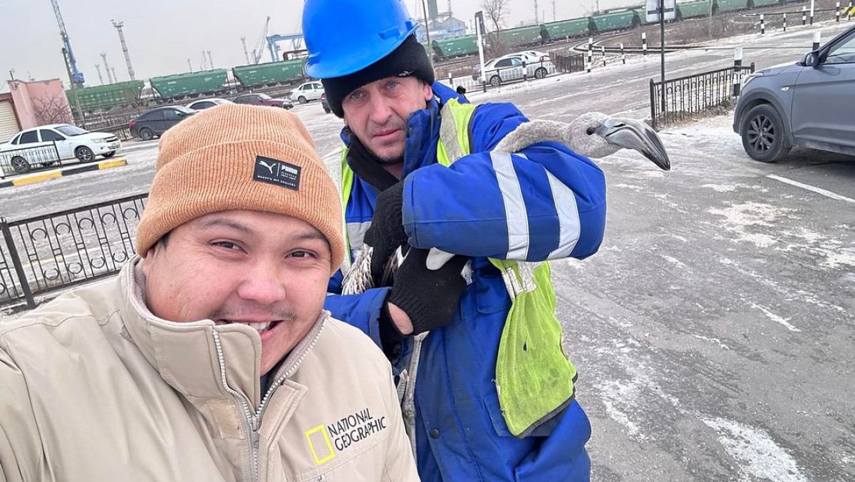  instagram.com/azamat_sarsenbayev