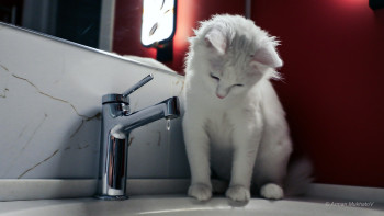 Фотография к новости: Часть жителей Темиртау осталась без воды