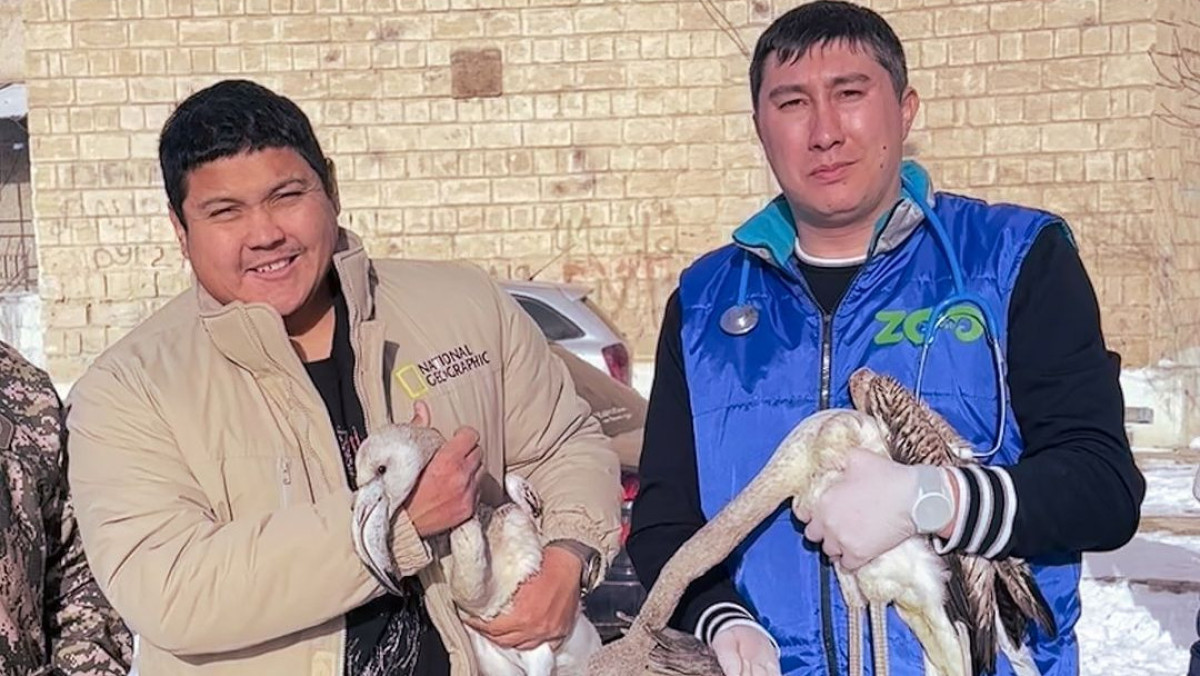  instagram.com/azamat_sarsenbayev