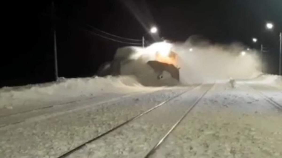  скрин видео