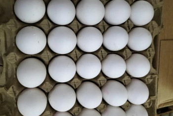 Фотография к новости: В России могут принять закон о регулировании цен на продукты, включая яйца