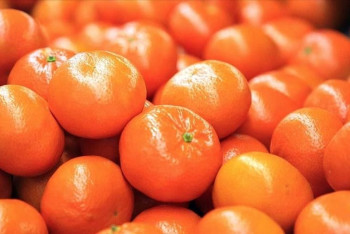 Фотография к новости: Сколько мандаринов можно съесть зараз: рекомендации гастроэнтеролога