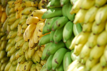 Фотография к новости: "Золотые" бананы закупают для детского сада в Акмолинской области