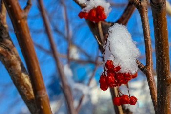 Фотография к новости: Дождь, снег и гололёд: в большинстве регионов страны и столице объявлено штормовое предупреждение