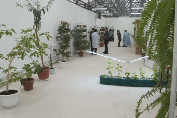 Фотография к новости: Подземную термос-теплицу открыли в Караганде