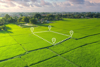 Фотография к новости: У инвестпроекта на сумму 391 млн долларов возникли проблемы с участком в Кызылординской области