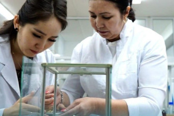 Фотография к новости: Многолетний сорт пшеницы вывел учёный в Казахстане