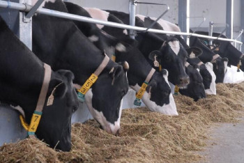 Фотография к новости: Сколько было выделено средств на кредитование АПК в Казахстане в 2023 году