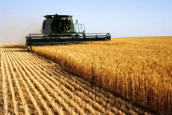 Фотография к новости: Условия микрокредитования для фермеров изменили в Казахстане