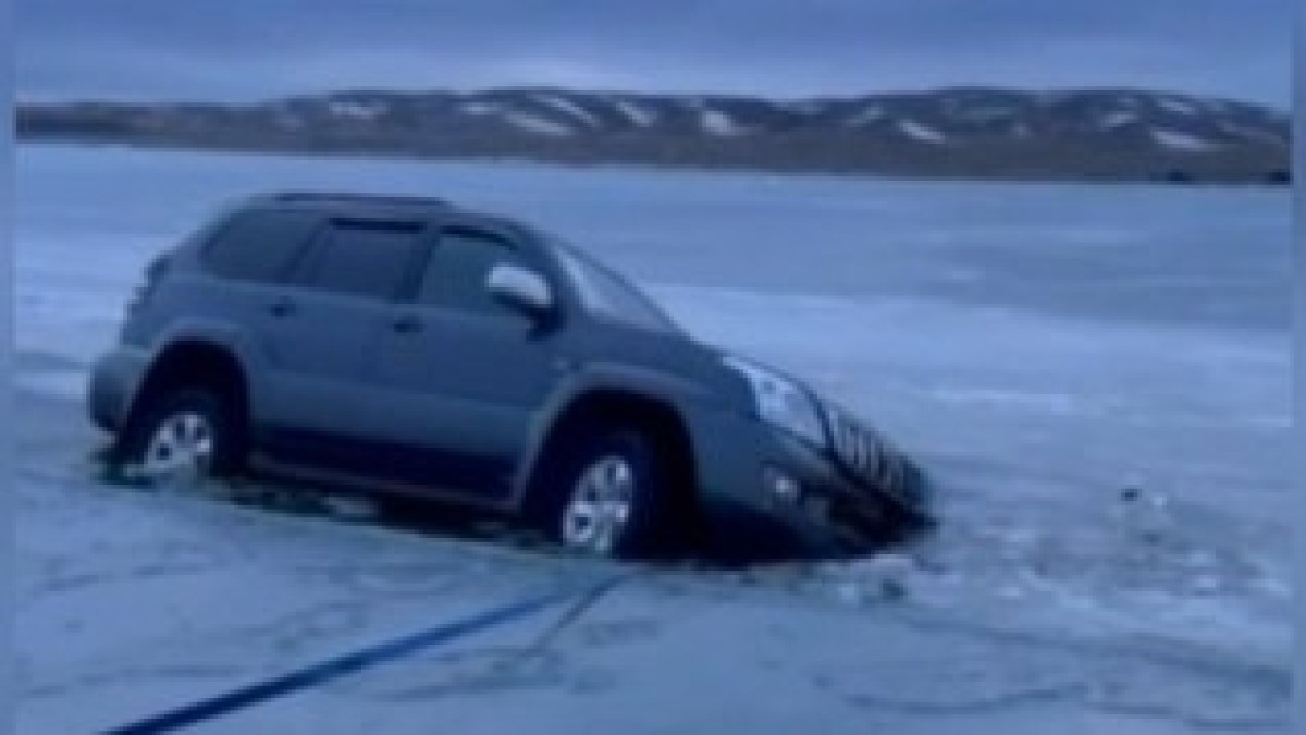  скриншот видео