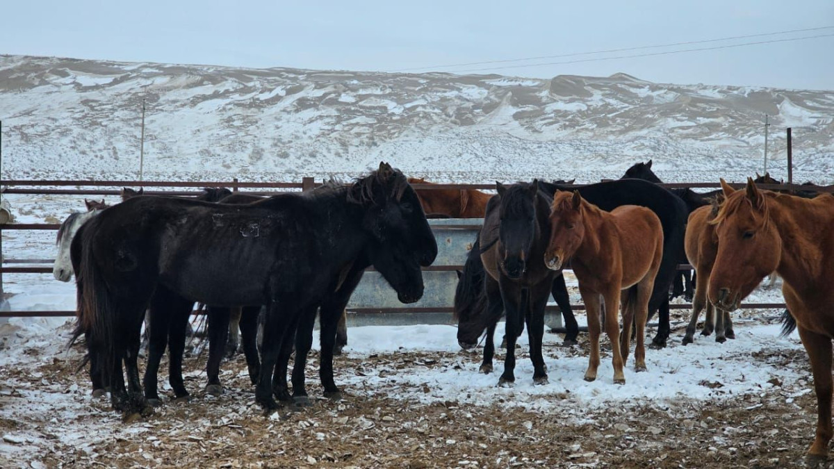  Министерство юстиции РК