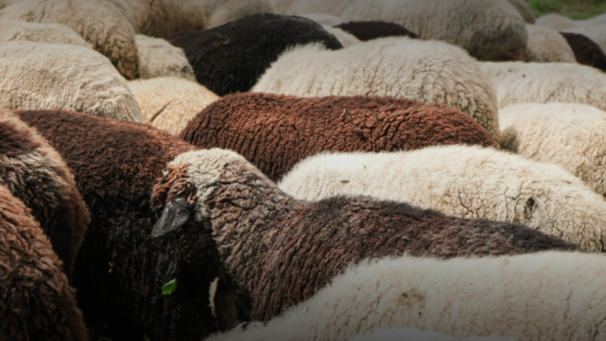  Минсельхоз РК