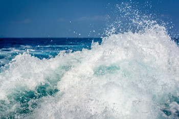 Фотография к новости: Восемь человек пострадали от огромных волн в Калифорнии