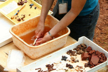 Фотография к новости: Дворец возрастом 4000 лет обнаружили в Китае