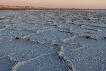 Фотография к новости: Казахстан возглавил Международный Фонд спасения Арала
