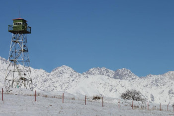 Фотография к новости: Опасный список: что пытались ввезти преступники через границу Казахстана в 2023 году?