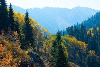 Фотография к новости: 58 млрд тенге хотят направить на развитие туризма в Алматинской области