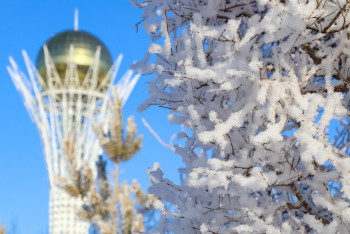 Фотография к новости: Чувства безопасности и защищенности населения оценили в Казахстане