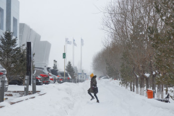Фотография к новости: Снег, метель и гололёд: синоптики рассказали о погоде на воскресенье