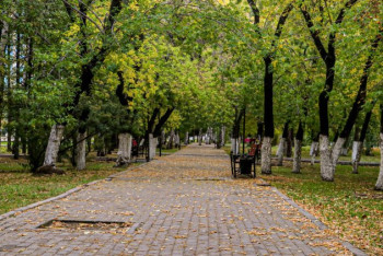 Фотография к новости: В Павлодаре разрабатывают план озеленения города