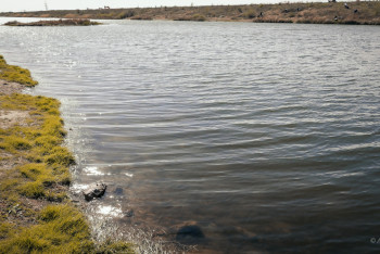 Фотография к новости: Главные проблемы водного хозяйства Казахстана назвал эксперт