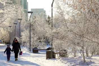 Фотография к новости: 30-градусные морозы придут в Казахстан