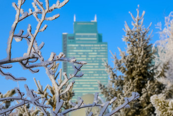 Фотография к новости: Какие меры по защите прав человека принимаются в Казахстане