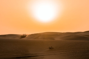 Фотография к новости: Учёные NASA назвали 2023 год самым жарким за всю историю наблюдений