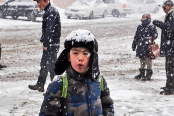 Фотография к новости: Столичные школьники в понедельник с первой смены будут учиться дистанционно