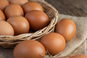 Фотография к новости: Россия просит Казахстан увеличить поставки куриных яиц