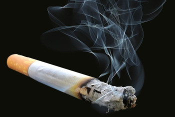 Фотография к новости: Число курильщиков в мире сокращается