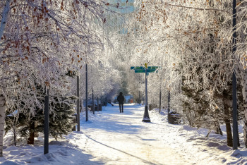 Фотография к новости: Морозы постепенно уйдут из Казахстана