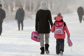 Фотография к новости: Школьников двух регионов перевели на дистанционку